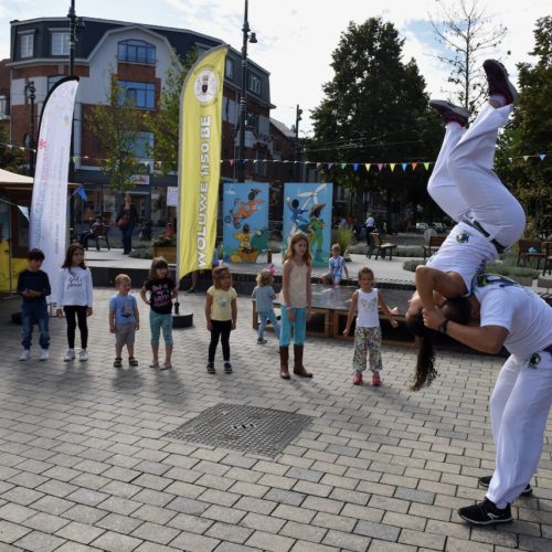 Village_à_la_Ville_2019_Woluwe1150