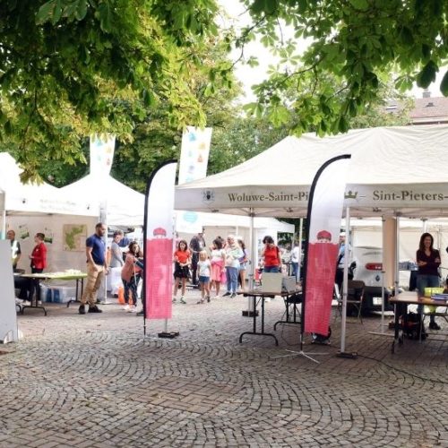JSV21_WoluweDD - 3